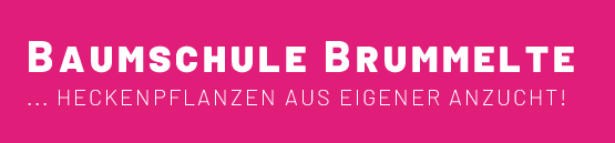 Baumschule Brummelte - Logo